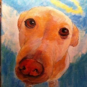 Chubbs - My Angel Pup